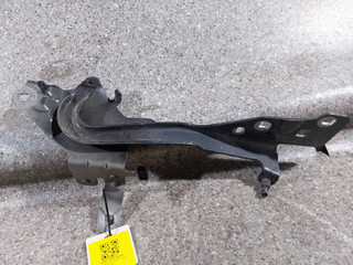 петля капота левая Renault Scenic 3 поколение (2009 - 2012), 654010004R