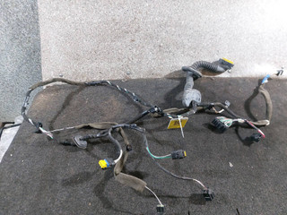 дверная проводка Renault Laguna 3 поколение 2009, 55RJ21H33, 24125257OR