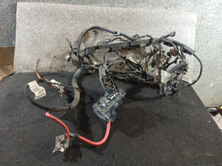 проводка двигателя Opel Meriva 1 поколение (A) (2002 - 2006), 1.6 л., i, Z 16 XEP, бензин, 5МКПП, 55559237, 55556414