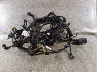проводка двигателя Opel Insignia 1 поколение (A) (2008 - 2014), 2.0 л., CDTi, A 20 DTH, дизель, 6МКПП, передний привод, 13296039, 55571379