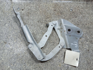 петля капота правая BMW X1 E84 (2009 - 2012), 2.0 л., дизель, АКПП, задний привод, 3440-6769367