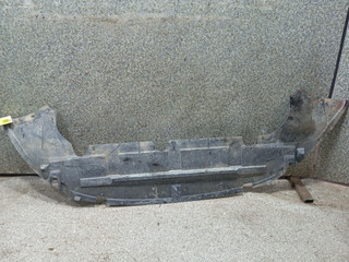 защита бампера (кенгурятник) Ford Focus 2 поколение [рестайлинг] (2007 - 2011)