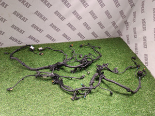 проводка двигателя BMW X3 G45 2025, 2.0 л., b48b20s, бензин, a300, полный привод, 12515A8D697, 5A8D697