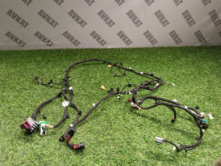 проводка торпеды BMW X3 G45 2025, 2.0 л., b48b20s, бензин, a300, полный привод, 5B3FAD2, 5B3FAE1, 61125B3FAE1, 61125B3FAD2