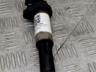 катушка зажигания BMW X3 E83 2005, 2.5 л., M54 B25 (256S5), бензин, АКПП, 0221504100
