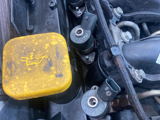 форсунка Land Rover Range Rover 3 поколение [рестайлинг] 2006, 3.0 л., 306D1, дизель, АКПП, 7785984, 13537785984