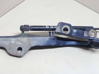 петля капота правая Ford Expedition 2 поколение U222 2004, 4.6 л., i, бензин, АКПП, синий, внедорожник 5 дв., полный привод, 1L3416800AA