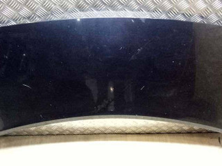 капот Renault Scenic 2 поколение 2004, 1.9 л., F9Q 812, дизель, 6МКПП, минивэн, передний привод, 651001097R