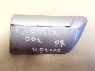 молдинг крыла Hyundai Sonata EF 2000, 87712-3D010
