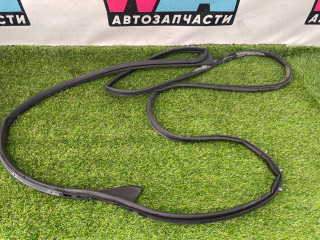 уплотнитель двери RAM 1500 5 поколение 2019, 5.7 л., бензин, АКПП, пикап, полный привод