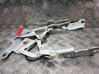 петля капота правая BMW X1 E84 2011, 3.0 л., N52 B30 A, бензин, АКПП, внедорожник 5 дв., полный привод, 2990360, 2990359