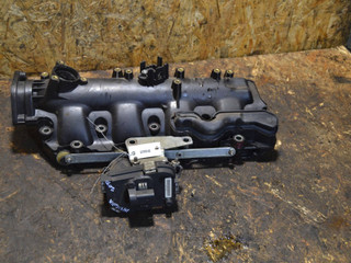 коллектор впускной Opel Insignia 1 поколение (A) (2008 - 2014), 2.0 л., A 20 DTH, дизель, 55571993