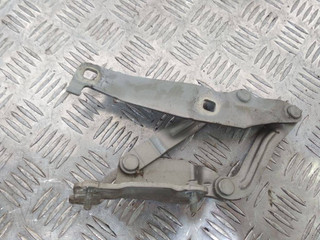 петля капота Renault Scenic 2 поколение 2005, 81662-F