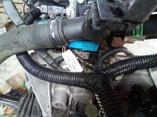 датчик распредвала Renault Kangoo 1 поколение 2002, 1.2 л., бензин, МКПП