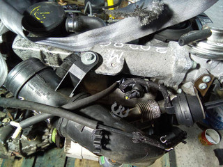 коллектор впускной Volkswagen Golf 4 поколение 2000, 1.9 л., дизель, МКПП
