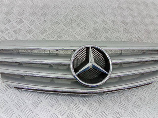 решетка радиатора Mercedes-Benz A-Класс W169 2006, A1698800783
