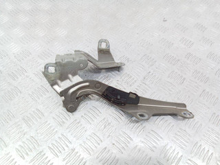 петля капота Renault Laguna 3 поколение 2010, купе, 654000007R