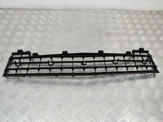заглушка (решетка) в бампер Mercedes-Benz A-Класс W169 2008, A1698850124