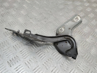 петля капота левая Renault Clio 3 поколение 2008, 719033
