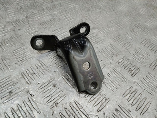 петля двери Hyundai ix35 1 поколение 2009