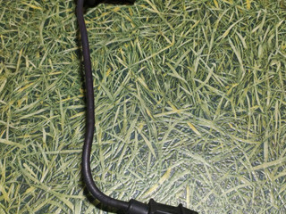 датчик коленвала Renault Magnum 3 поколение 2003, 12.0 л., MACK E.TECH C/46, дизель, МКПП, 0281002206, 5010437074, 05650494