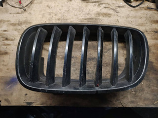 решетка капота BMW X5 E70 2007, 4.8 л., N62 B48 A, бензин, 7171395