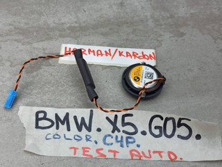 динамик двери BMW X5 G05 [рестайлинг] 2023, 3.0 л., бензин, c4p, 6809632