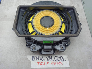 сабвуфер BMW XM G09 2023, 4.4 л., бензин, электро, c5y, 2622510