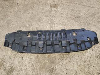 защита бампера (кенгурятник) Skoda Superb 3 поколение 2019, 2.0 л., бензин, 3V0807611