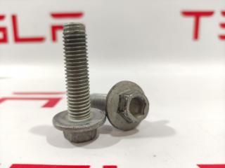 Болт заднего рычага Tesla Model S 1 поколение [2-й рестайлинг] 2022, 1420435-99-G