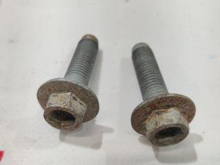 Болт заднего рычага Tesla Model S 1 поколение [2-й рестайлинг] 2021, 1420435-99-G