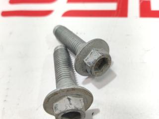 Болт заднего рычага Tesla Model S 1 поколение [2-й рестайлинг] 2021, 1420435-99-G