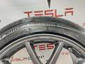 шина Tesla Model 3 1 поколение 2019, электро - фото №3