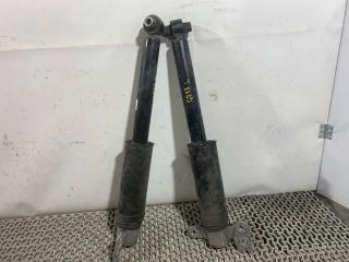 амортизатор задний Chevrolet Equinox 3 поколение 2019, 2.0 л., бензин, АКПП, черный, внедорожник 5 дв., полный привод, 84361747