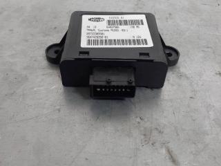 блок управления топливным насосом Citroen C5 1 поколение 2004, 965000000000