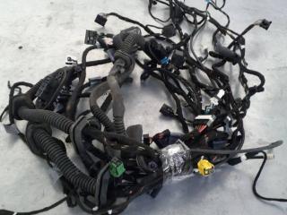 дверная проводка BMW 7 серия E65/E66/E67 E65 2002, BM1Q641115, 6913125.691