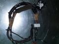 дверная проводка Nissan Almera Tino V10 2002, 2.2 л. - фото №2