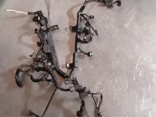 проводка двигателя Honda Civic 7 поколение 2001, 1.6 л., бензин