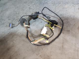 дверная проводка Peugeot 206 1 поколение 2001, хетчбэк 3 дв., 40599380, C409P03A