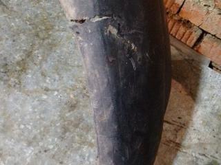 бампер передний Citroen Berlingo 1 поколение (M49) 2000, 9618471877