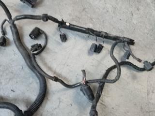 проводка двигателя Audi A3 8P (2003 - 2005), 1.6 л., бензин