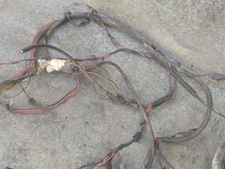 проводка торпеды Rover 75 1 поколение (1999 - 2004), 2.5 л., бензин, YMC131704, PK992350040Y, 9923355300202861