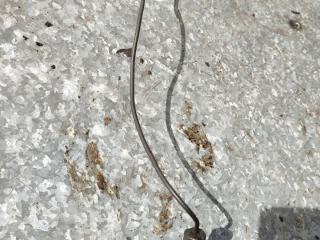 датчик температуры двигателя Opel Astra F [рестайлинг] (1994 - 2002), 1.4 л., бензин