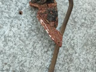 электромагнитный клапан Renault Master 2 поколение [рестайлинг] 2007, 2.5 л., бензин, 8200762597, 6116305