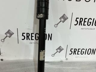 амортизатор задний Alfa Romeo Giulia 2 поколение 952 2018, 2.0 л., бензин, АКПП, седан, задний привод, 50544269