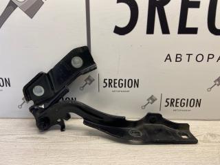 петля капота Alfa Romeo Giulia 2 поколение 952 2017, 2.0 л., бензин, АКПП, седан, задний привод