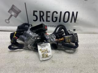 дверная проводка Alfa Romeo Stelvio 1 поколение 949 2018, 2.0 л., бензин, АКПП, внедорожник 5 дв., полный привод, 50551876