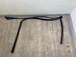 уплотнитель двери BMW 7 серия G11/G12 2018, 3.0 л., дизель, АКПП, седан, задний привод, правый руль