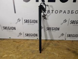 амортизатор крышки багажника (3-5 двери) Alfa Romeo Stelvio 1 поколение 949 2018, 2.0 л., бензин, АКПП, полный привод, 505502580