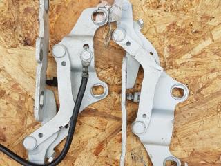 петля капота правая BMW 3 серия E90/E91 [рестайлинг] E93 2011, 3.0 л., N55 B30 A, бензин, АКПП, кабриолет, задний привод, правый руль, 41617210678, 7210678, 41618045404, 8045404, 41617131752, 7131752, 7115264